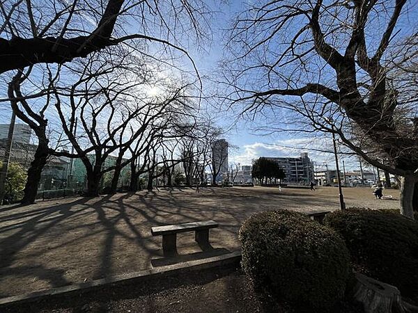 松が枝公園 270m