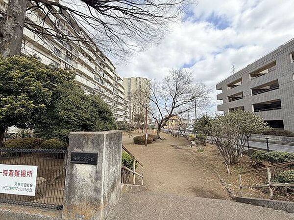 林間白笹公園白笹という名にふさわしい、どこか清らかな雰囲気をもつ林間白笹公園が近くに。四季の木々の表情を楽しみながら、ゆったりと歩きたくなる散歩道がそばにあります。 730m