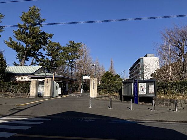 相模女子大学中学部・高等部・大学部 1050m