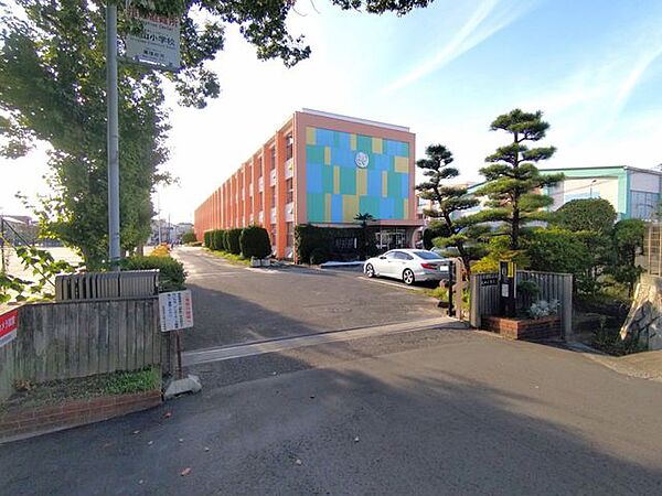 周辺を拡大表示