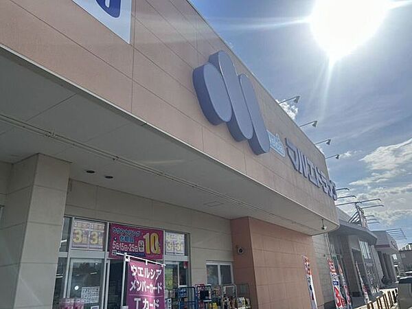 マルエドラッグ　高崎菅谷店 340m