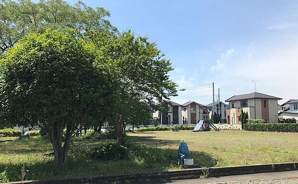 松井公園 80m