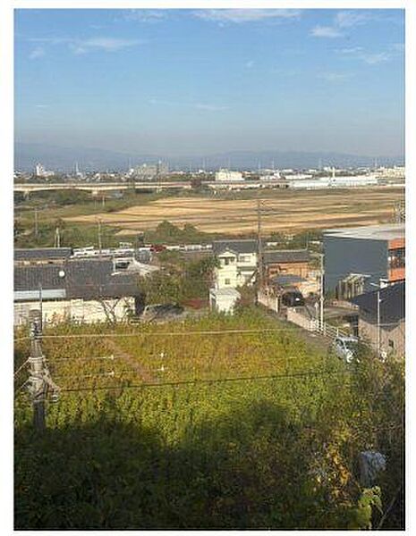 外観：310000099012