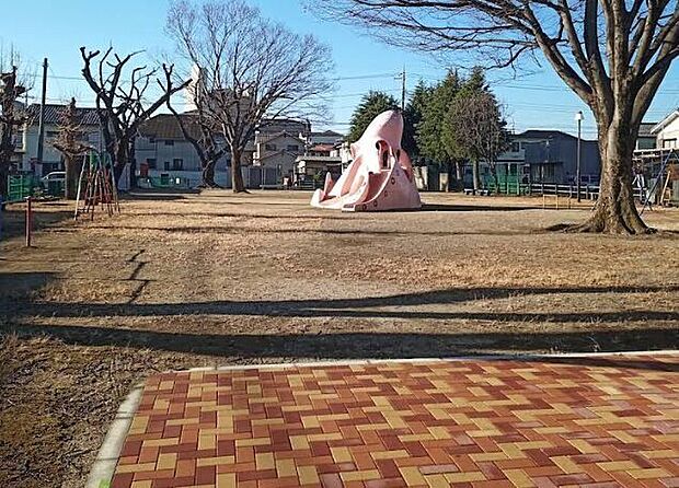しいのみ公園 3100m