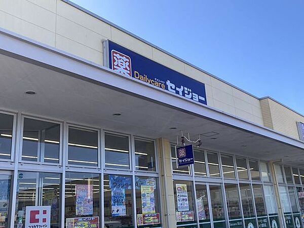 セイジョー 高崎高関店 500m