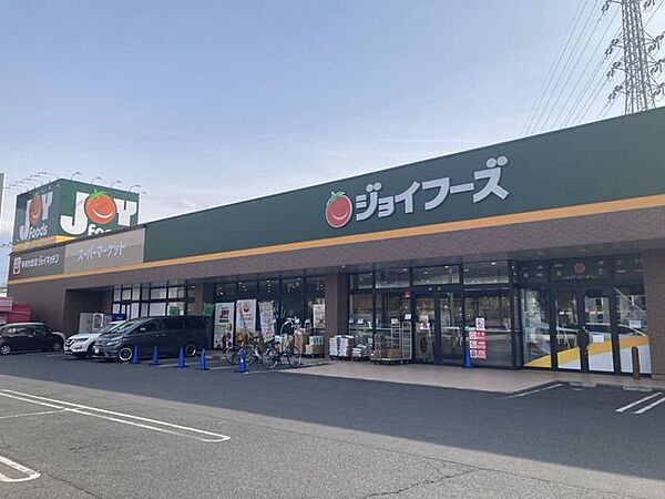 ジョイフーズ 高崎上佐野店 990m