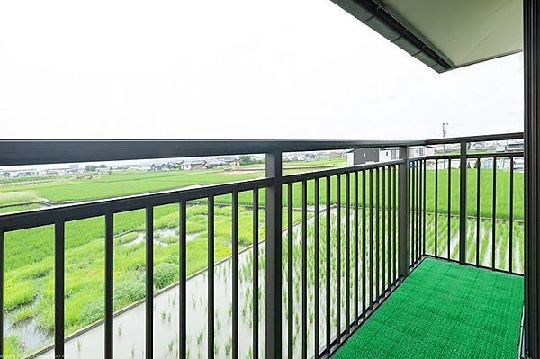 2Fベランダより。周りに影を落とす建物などが無く、日当たり良好で、のどかな田園風景を望めます。