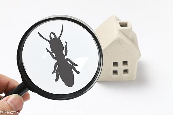屋根裏や床下まで確認の上でリフォームし、シロアリの被害調査と防除工事もおこなっています。