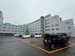 エバーグリーン琴似