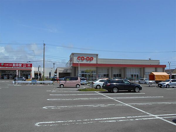 生活協同組合コープみやざき 本郷店（1100m）