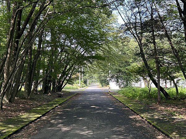 周辺は緑豊かで落ち着いた閑静な住宅地です。
