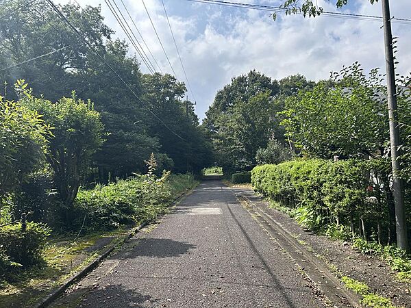 前面道路です。