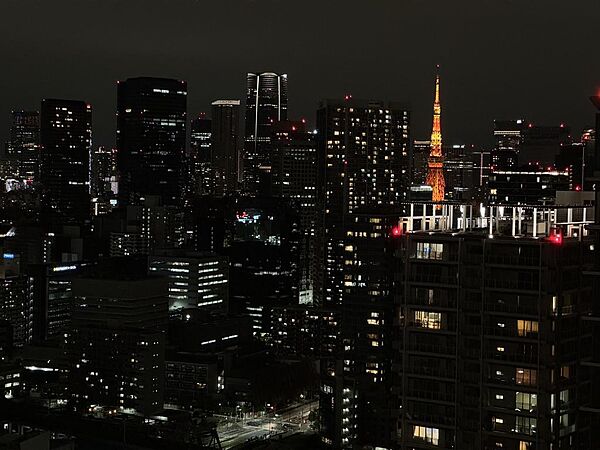 お部屋からの夜の眺望です