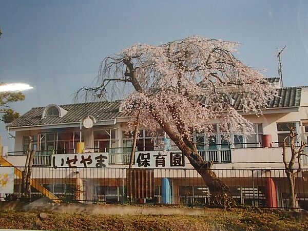 伊勢山保育園 500m