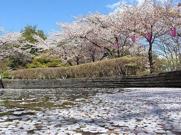 城山公園 820m