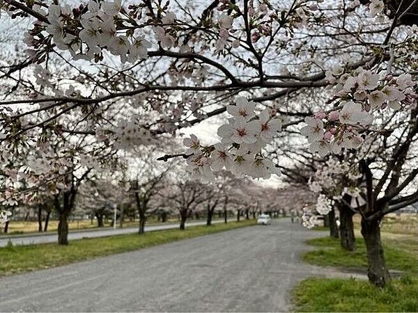 松原公園 2540m