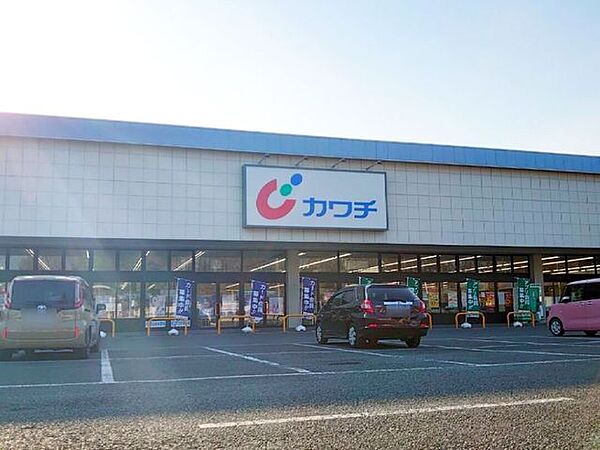 カワチ薬品　佐野店 1010m