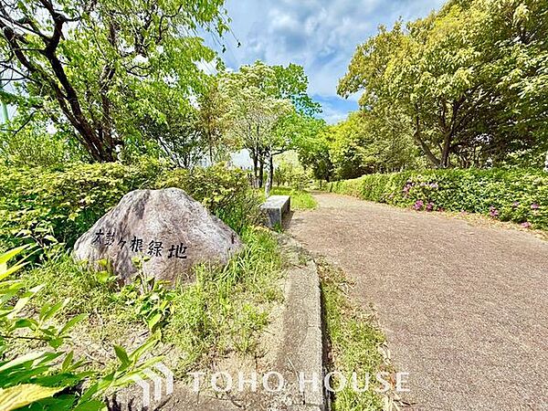 太鼓ケ根街園 徒歩25分。 1960m