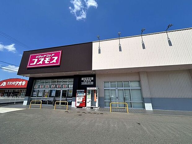 ドラッグストアコスモス江守中店 900m