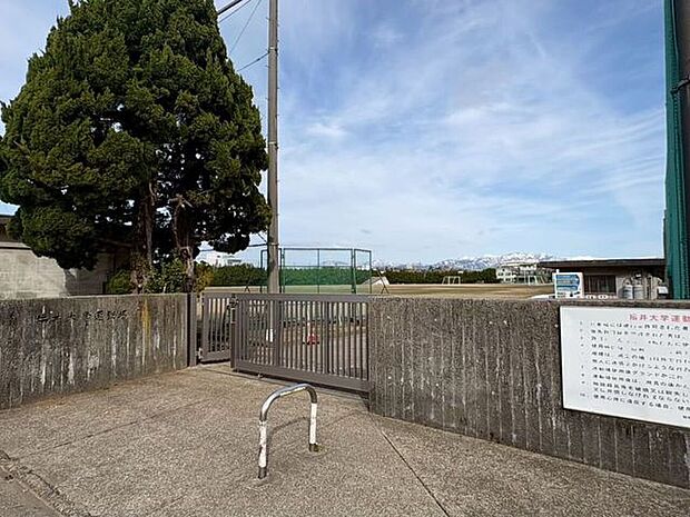福井大学運動場 300m