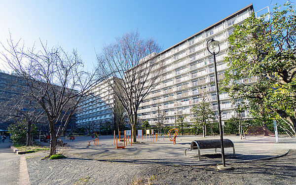 板橋区立蓮根三丁目公園まで230m