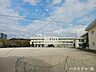 周辺：周南市立遠石小学校周南市立遠石小学校 780m