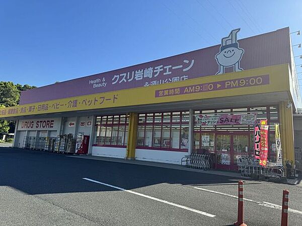 くすりの岩崎チェーン　永源山公園 750m
