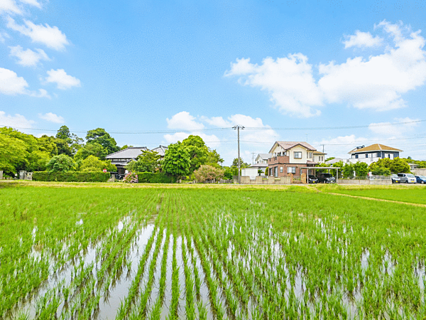 ◇見渡す限りに広がる、みずみずしい緑とどこまでも高い青空。本分譲地は、目の前に広がる美しい田園風景を日常の一部として贅沢に取り込める、特別なロケーションです。