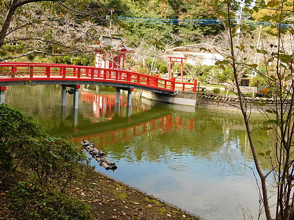 茂原公園約3500m