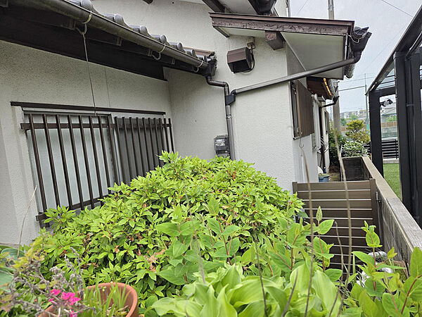 現地写真です。敷地面積約66坪！