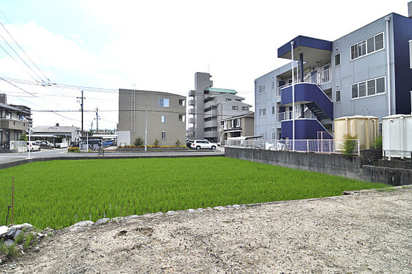 敷地東側より撮影
