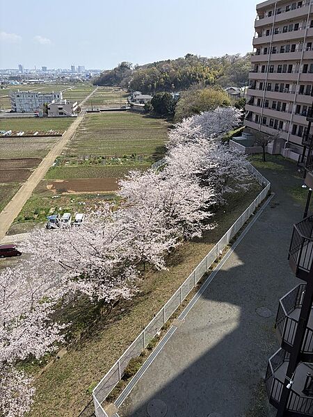 共用廊下からの景色