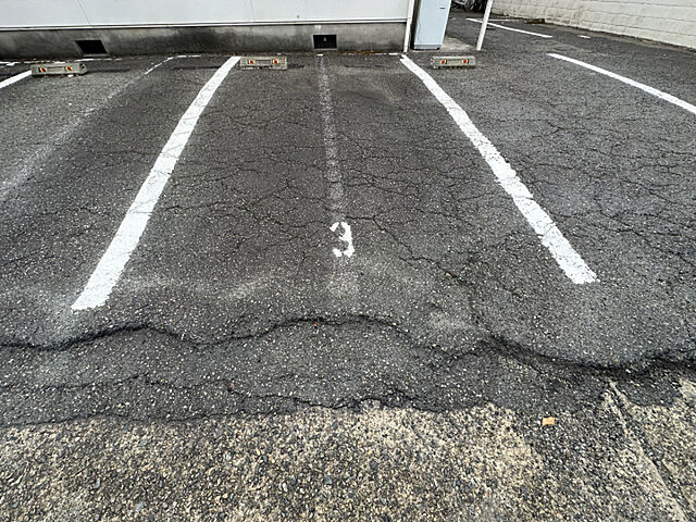 5 / 6