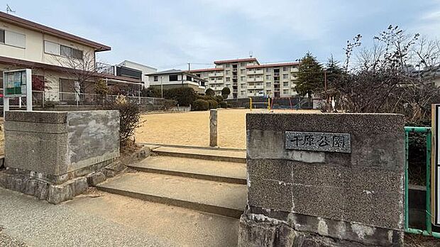 千原公園 140m