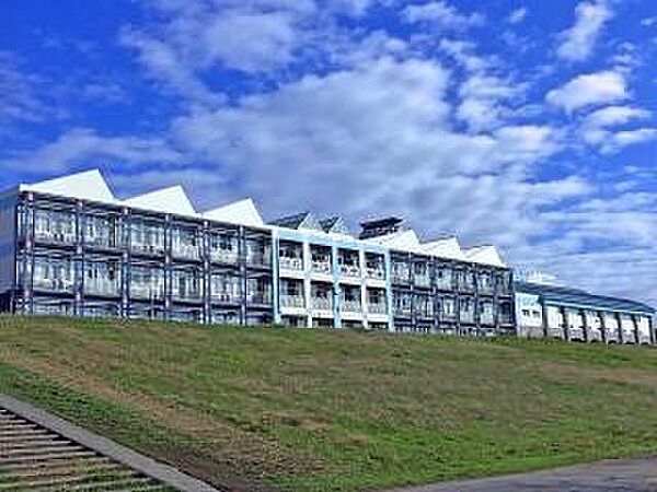 周辺環境-中学校(1500m)川口市立南中学校