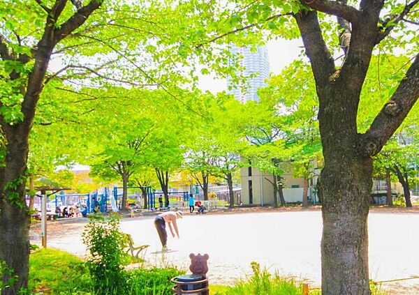 周辺環境-公園(500m)芝川公園