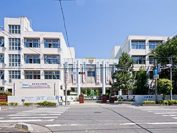 周辺環境-中学校(300m)青木中学校
