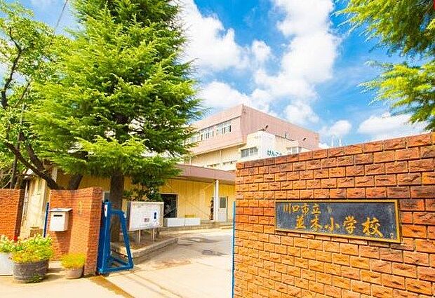 周辺環境-小学校(120m)川口市立並木小学校