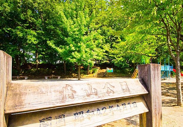 周辺環境-公園(350m)舟山公園