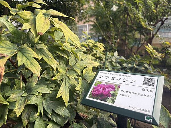季節の草花や植栽が整備され、自然を身近に感じられる住環境です。四季折々の景色を楽しみながら散策できる環境が整っており、日々の暮らしに潤いと安らぎを与えてくれます。