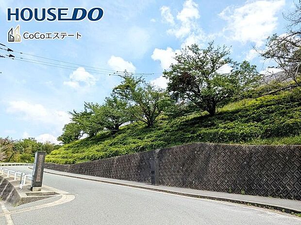 大野城市立平野中学校 1000m