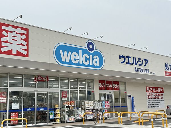 ドラッグストア 2000m ウエルシア高萩安良川南店