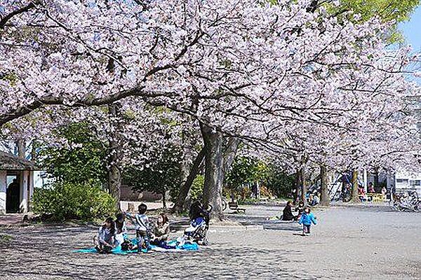 川崎市中原平和公園 徒歩34分。 2670m