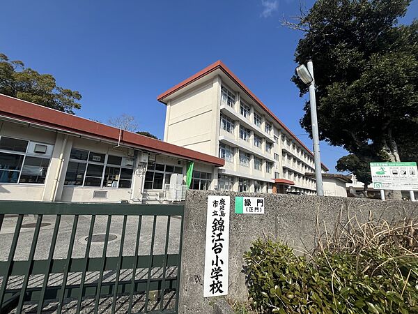 小学校 2800m 錦江台小学校