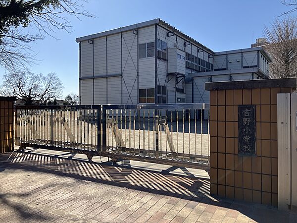小学校 1500m 吉野小学校