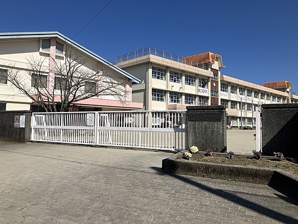 小学校 950m 花野小学校