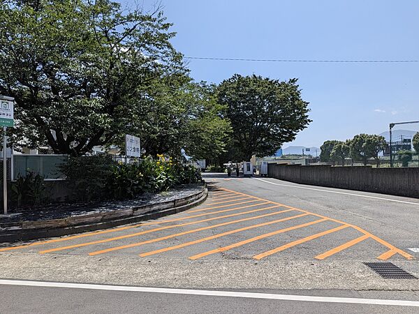 小学校 1800m 大津町立大津小学校