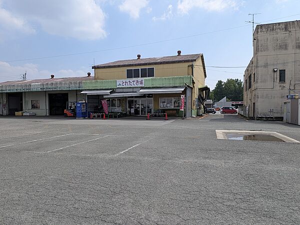 周辺の街並み 1100m JA菊池　大津とれたて市場()