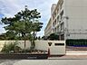 周辺：小学校 800m 播磨町立播磨南小学校
