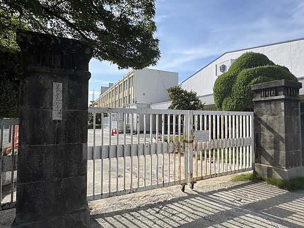 小学校 800m 江南市立古知野南小学校